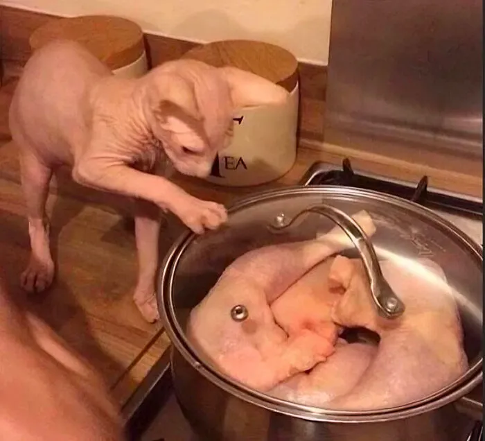 This Page Is All About Cursed Images, And Here's 35 Of The Most Unsettling Ones