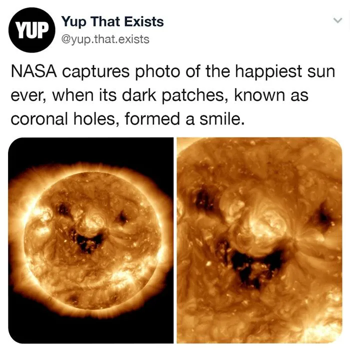 “Yup That Exists”: 50 Weird But Very Real Things, As Shared On This Online Page (New Pics)