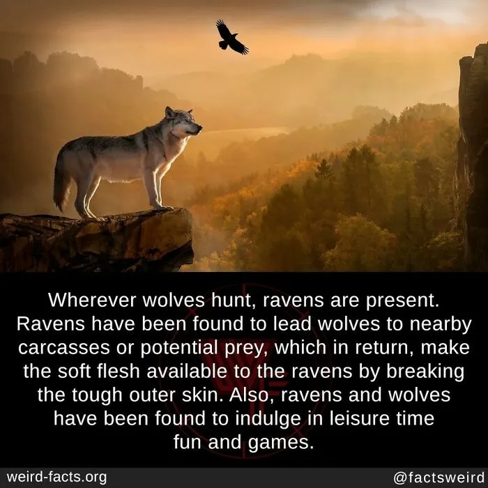 50 ‘Weird Facts’ About The World That You Might Not Have Known (New Pics)