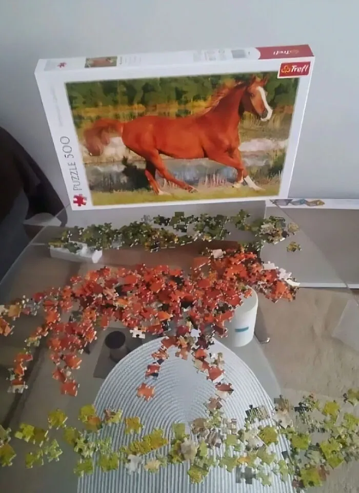 Puzzle