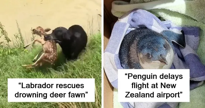 7 Fantastic Animals Who Made Headlines In January