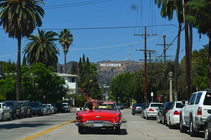 26 Non-Americans Who Traveled To The US Share The Things They Did And Didn't Like About It