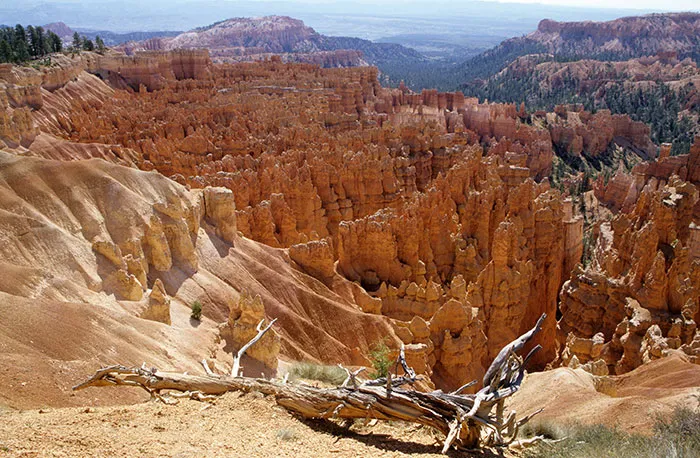26 Non-Americans Who Traveled To The US Share The Things They Did And Didn't Like About It