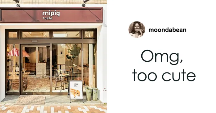 Pigs At This Cafe In Tokyo Are Called “Buta-San,” And They Trot Around Looking For Pets