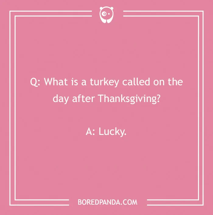 110 Turkey Jokes Dedicated Only To This Majestical Bird