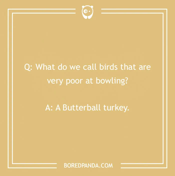 110 Turkey Jokes Dedicated Only To This Majestical Bird