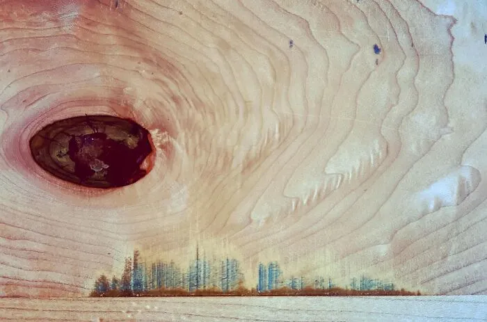 This FB Page Shares Spectacular Photos Of Unspectacular Things, Here Are 50 Of The Most Interesting