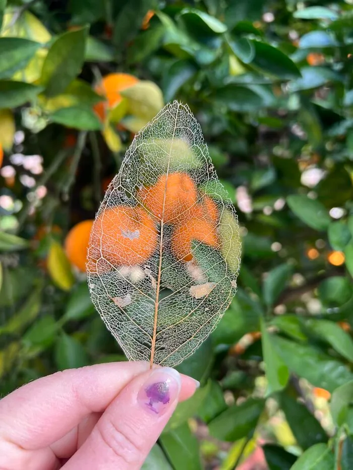 This FB Page Shares Spectacular Photos Of Unspectacular Things, Here Are 50 Of The Most Interesting