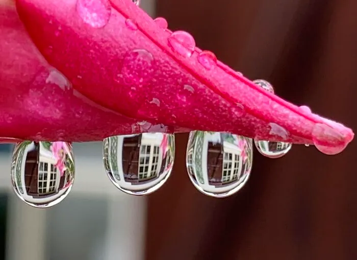 This FB Page Shares Spectacular Photos Of Unspectacular Things, Here Are 50 Of The Most Interesting