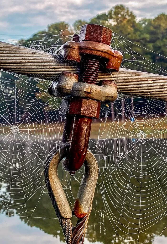 This FB Page Shares Spectacular Photos Of Unspectacular Things, Here Are 50 Of The Most Interesting