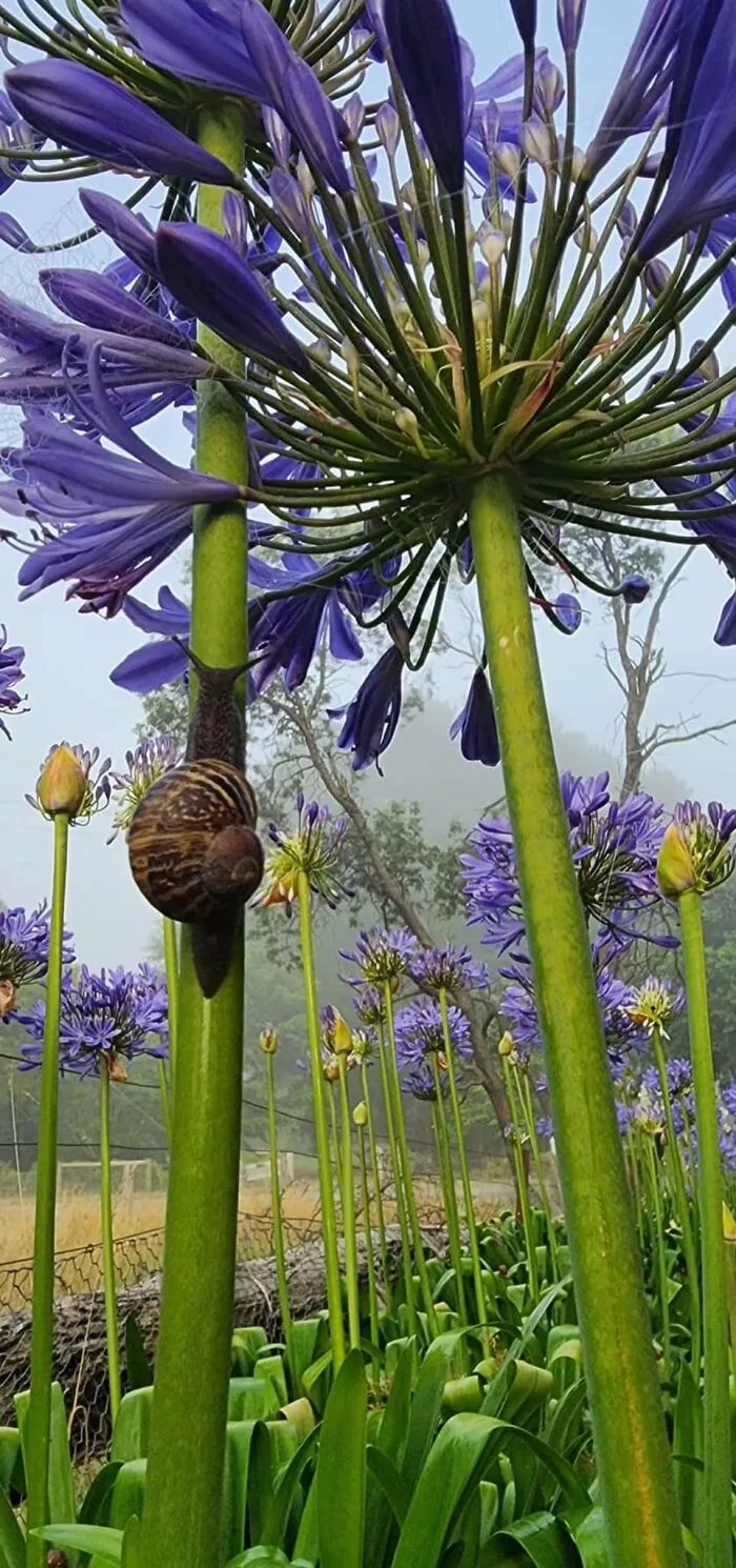 This FB Page Shares Spectacular Photos Of Unspectacular Things, Here Are 50 Of The Most Interesting