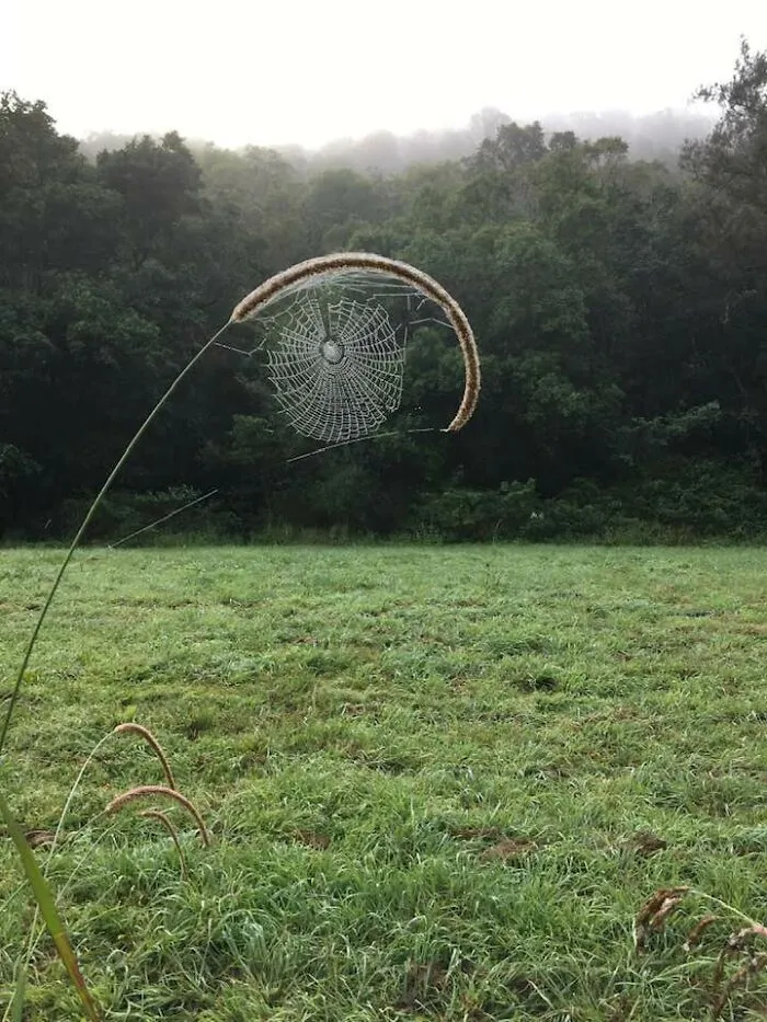 This FB Page Shares Spectacular Photos Of Unspectacular Things, Here Are 50 Of The Most Interesting