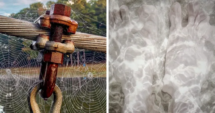 This FB Page Shares Spectacular Photos Of Unspectacular Things, Here Are 50 Of The Most Interesting