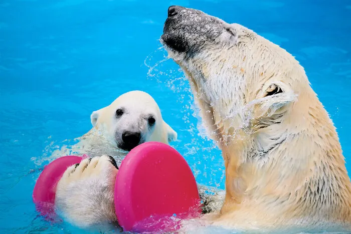 Parent-Child Play