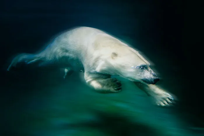 Swimming