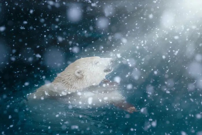 Snowing
