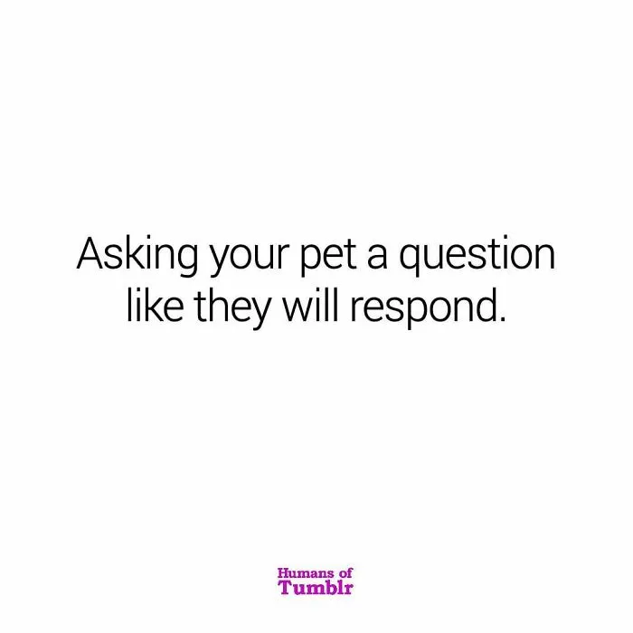 30 Hilariously Random Thoughts Shared On This Instagram Page That Might Hit Too Close To Home