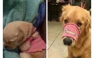 This Page Is Dedicated To Hilarious And Random Memes, Here Are The 50 Best Ones