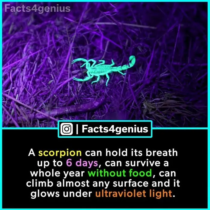 “Did You Know?”: 30 Of The Most Interesting Random Facts About Everything And Anything