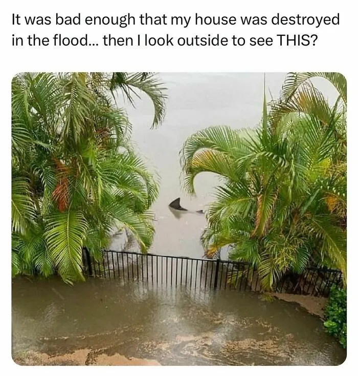 This Page Is Dedicated To Hilarious And Random Memes, Here Are The 50 Best Ones