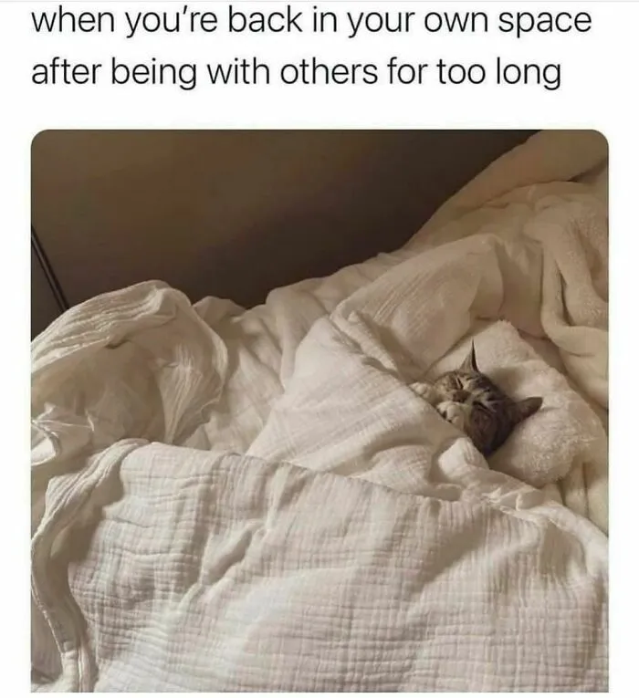 Cozy Cat In Blanket