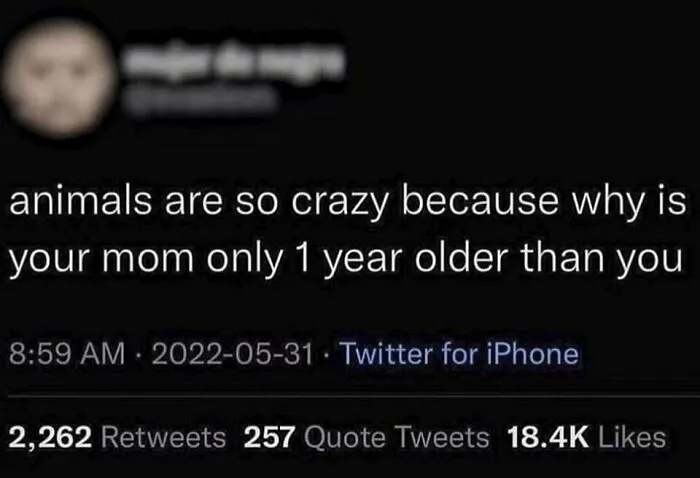 50 Memes For When There's Nothing Left To Do But Laugh, Posted On The "Mad Sad Not Good" IG Page (New Pics)