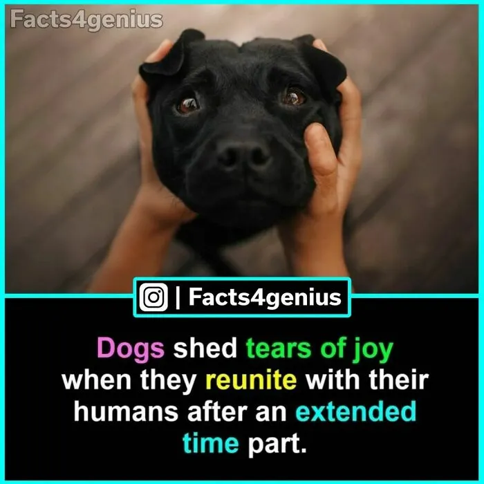 “Did You Know?”: 30 Of The Most Interesting Random Facts About Everything And Anything