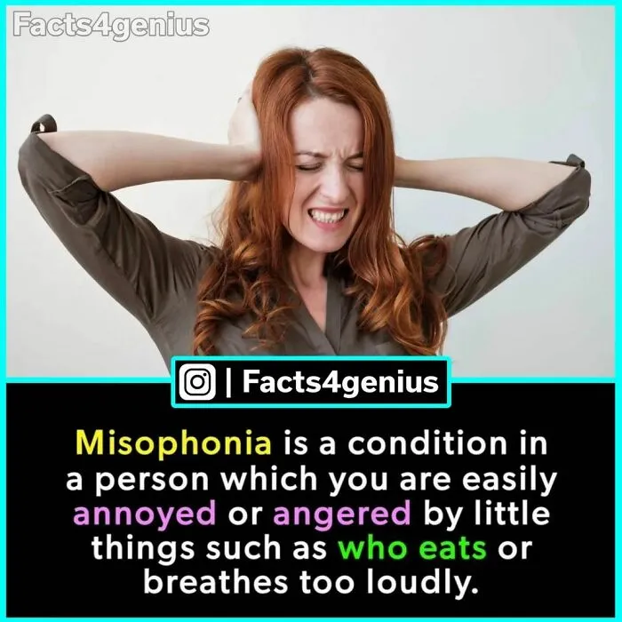 “Did You Know?”: 30 Of The Most Interesting Random Facts About Everything And Anything