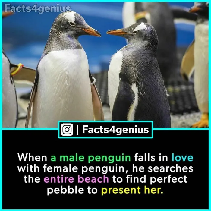 “Did You Know?”: 30 Of The Most Interesting Random Facts About Everything And Anything