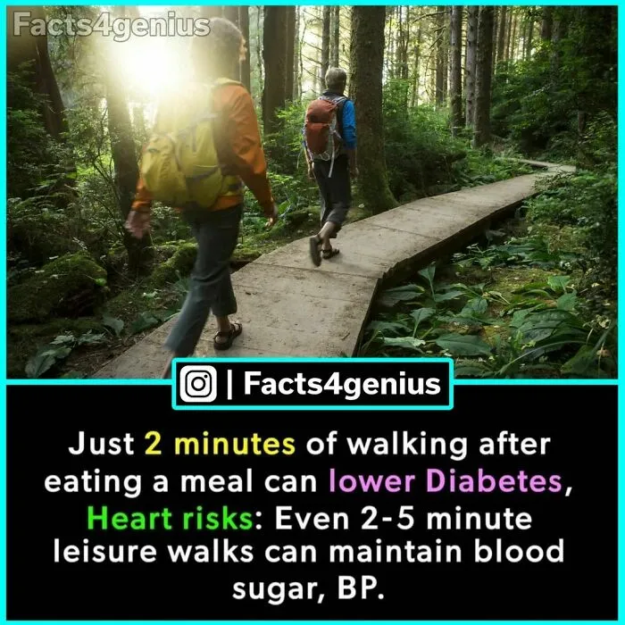 “Did You Know?”: 30 Of The Most Interesting Random Facts About Everything And Anything