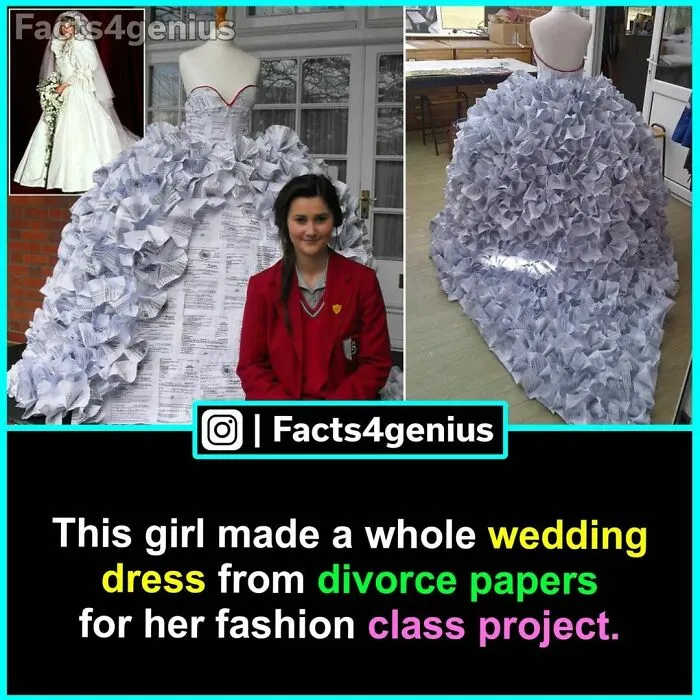 “Did You Know?”: 30 Of The Most Interesting Random Facts About Everything And Anything