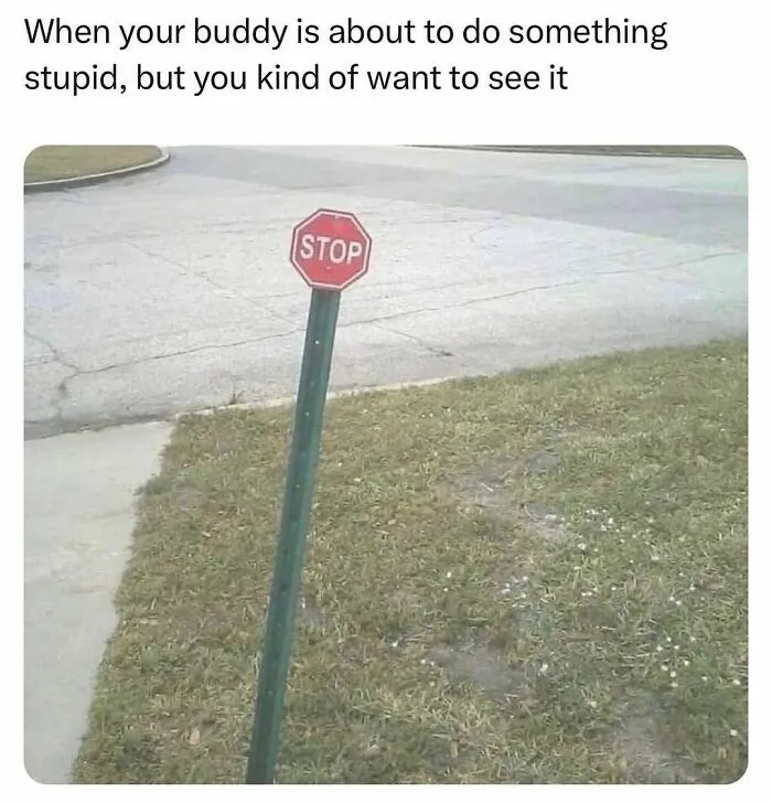 Funny-Relatable-Random-Memes