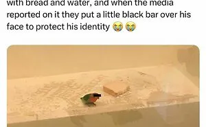 This Page Is Dedicated To Hilarious And Random Memes, Here Are The 50 Best Ones