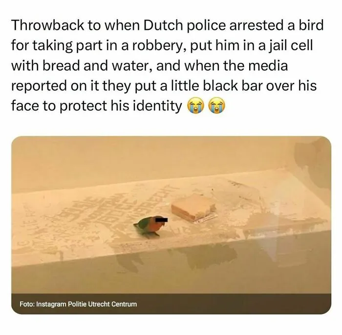 Funny-Relatable-Random-Memes