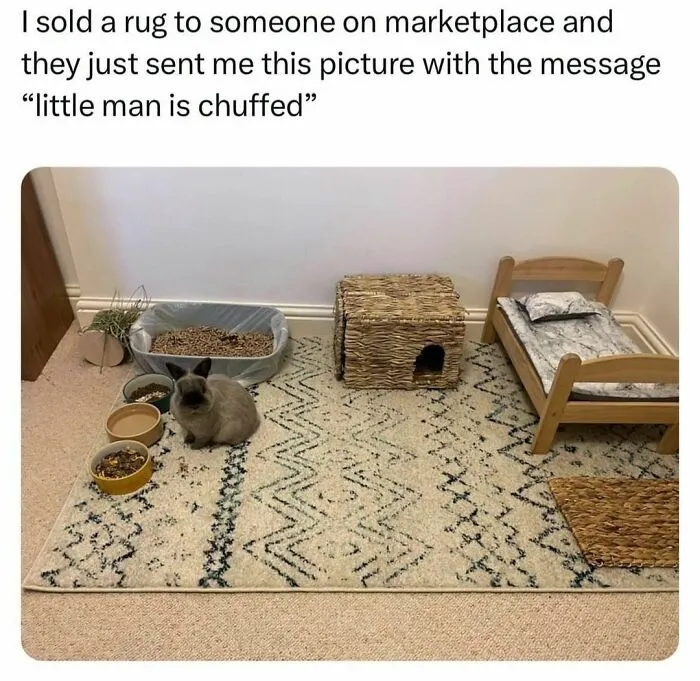 This Page Is Dedicated To Hilarious And Random Memes, Here Are The 50 Best Ones