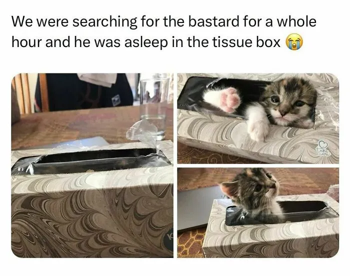 Funny-Relatable-Random-Memes