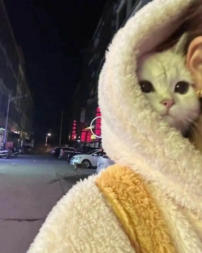40 Funny And Cute Cats That Might Heal Your Depression, As Shared On This Instagram Page