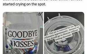 This Page Is Dedicated To Hilarious And Random Memes, Here Are The 50 Best Ones