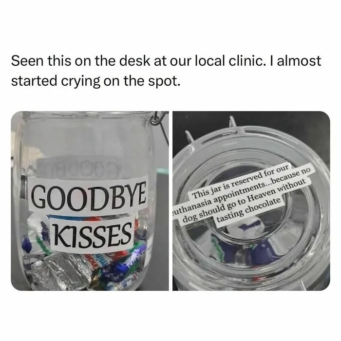 Funny-Relatable-Random-Memes