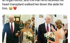 This Page Is Dedicated To Hilarious And Random Memes, Here Are The 50 Best Ones