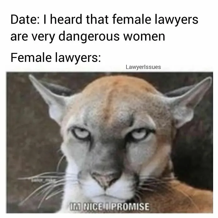 Attorneys At LOL: 30 Times Lawyers Had A Good Laugh About Their Profession From This IG Page