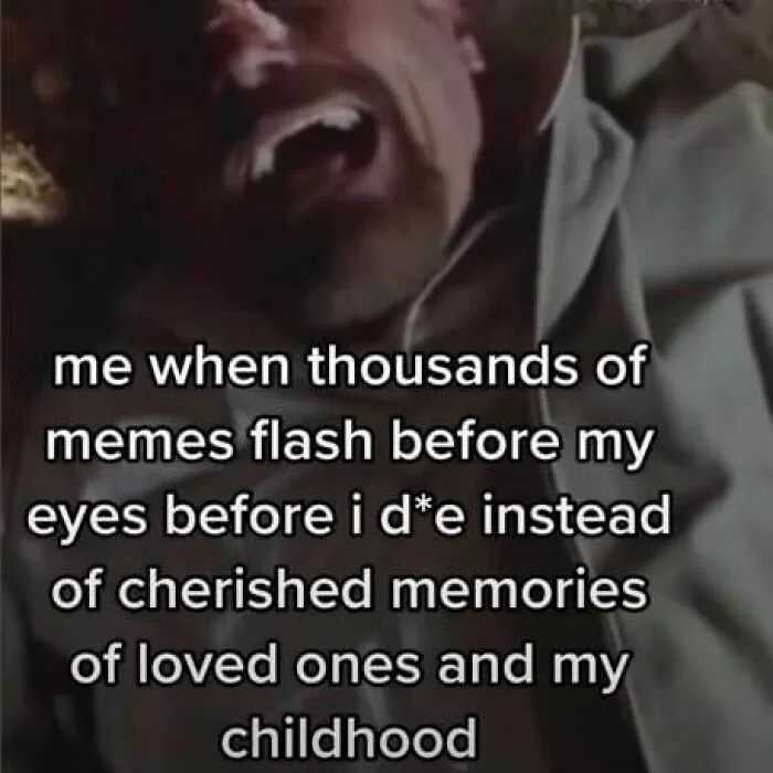 50 Memes For When There's Nothing Left To Do But Laugh, Posted On The "Mad Sad Not Good" IG Page (New Pics)