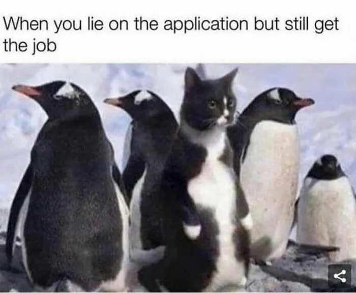 When You Lie On Your Application But Still Get The Job