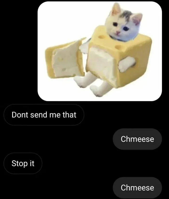 Cat-Memes