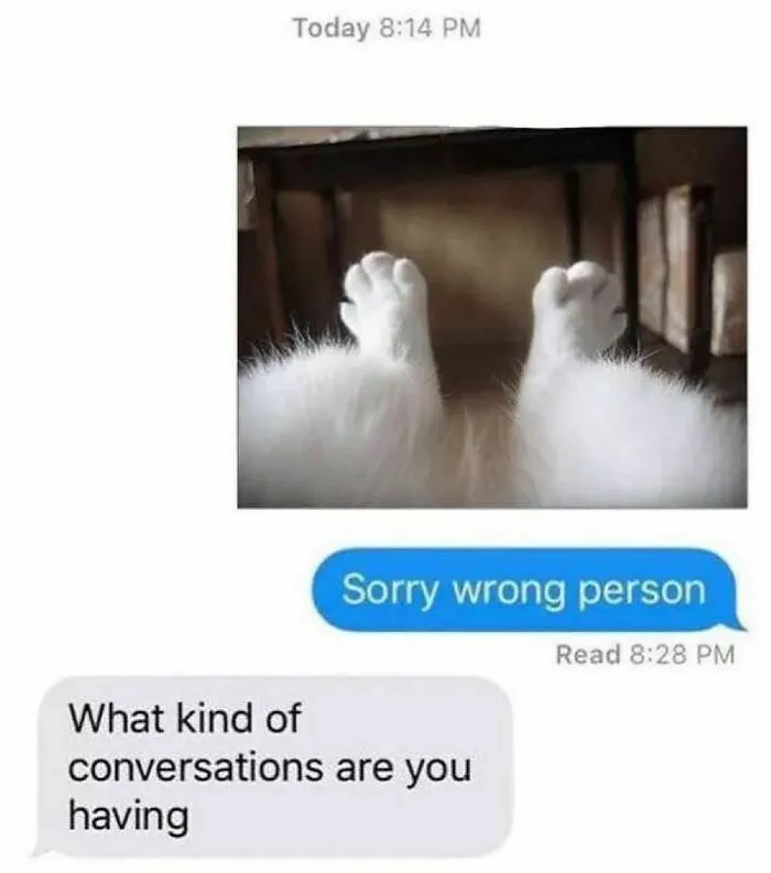 40 Funny And Cute Cats That Might Heal Your Depression, As Shared On This Instagram Page