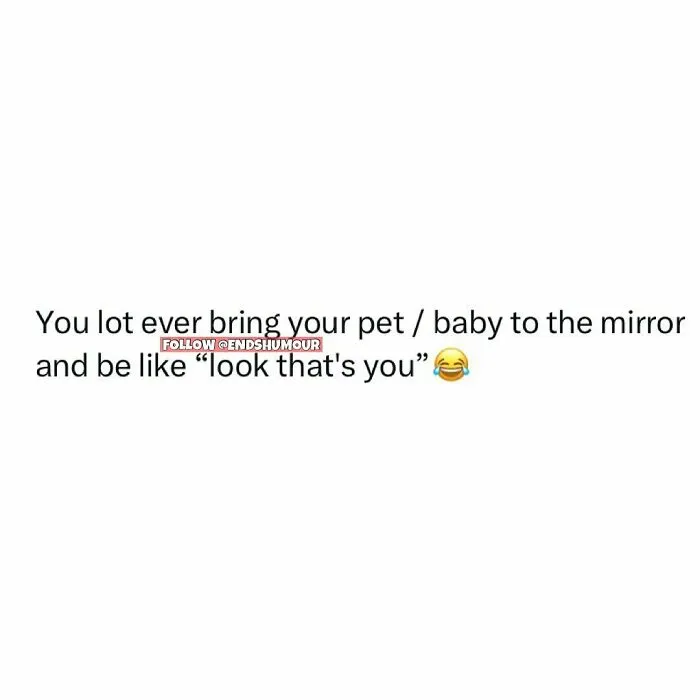 50 Chucklesome Memes That Hit Way Too Close To Home, Posted On This IG Page