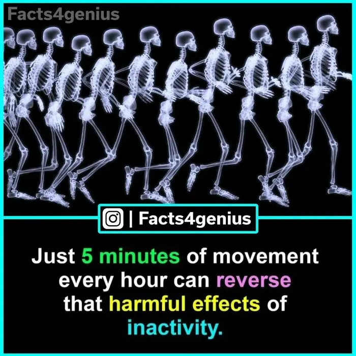 “Did You Know?”: 30 Of The Most Interesting Random Facts About Everything And Anything
