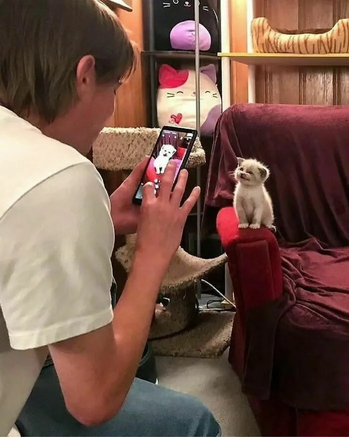40 Funny And Cute Cats That Might Heal Your Depression, As Shared On This Instagram Page
