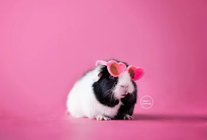 Love Ya