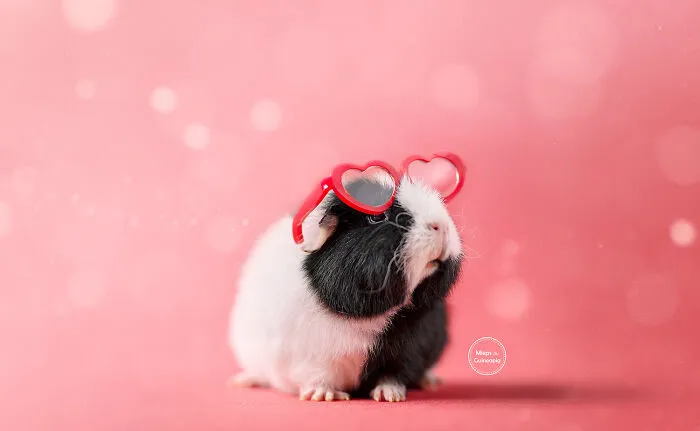 Love Glasses